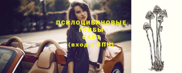 mdpv Липки