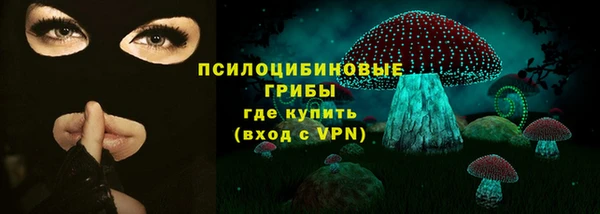 дмт Лиски