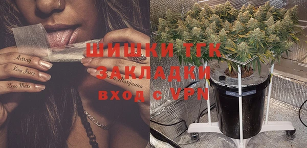 дмт Лиски