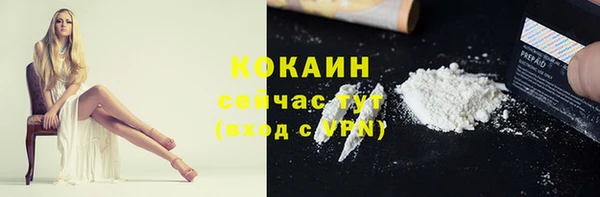 дмт Лиски